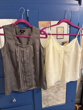 Mossimo Supply Co. Grey Pleated Satin Tank & Cream Lace-Trim Camisole Duo